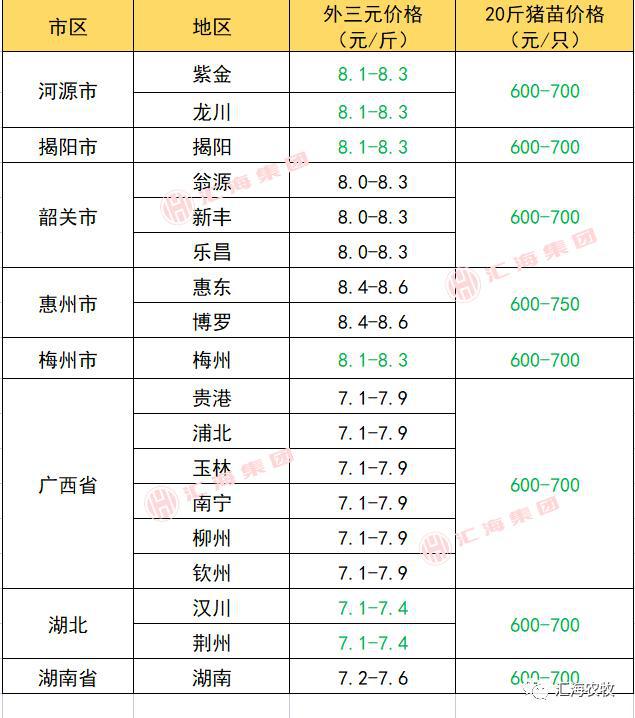 鴨子價(jià)格最新行情解析