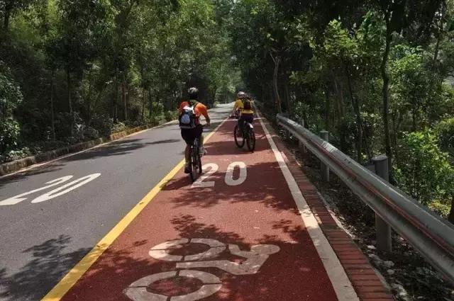 東莞司機(jī)招聘熱潮，職業(yè)前景與機(jī)遇深度解析