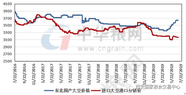 大豆價格最新行情走勢深度解析