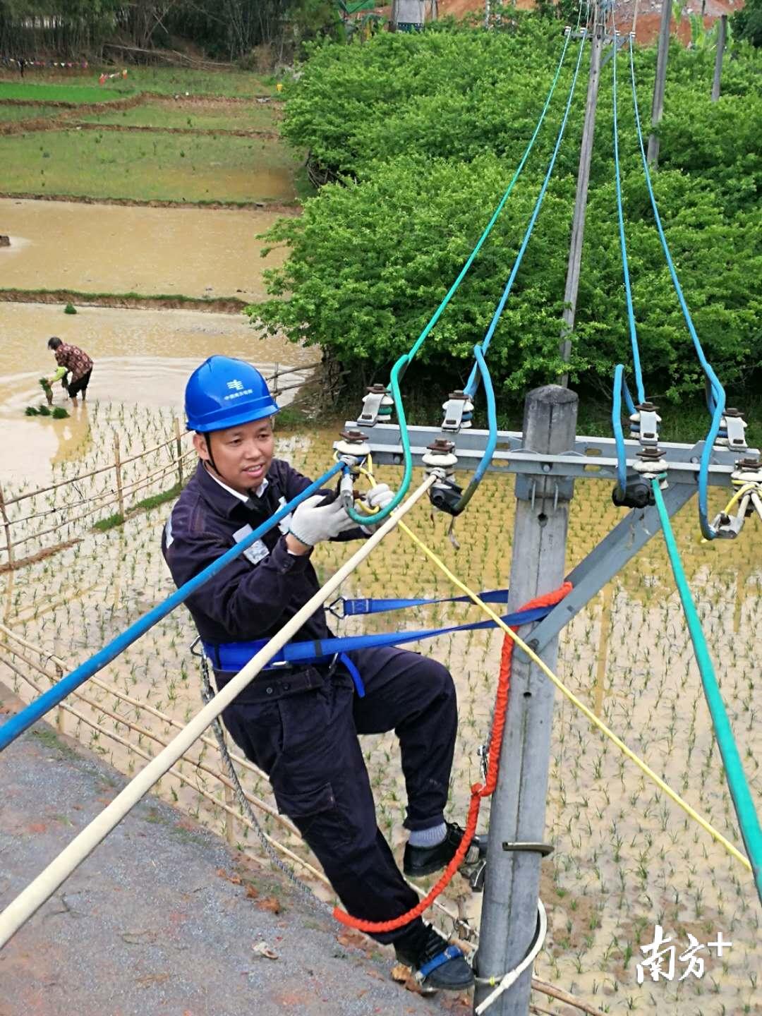 鳳崗地區(qū)最新招聘信息總覽