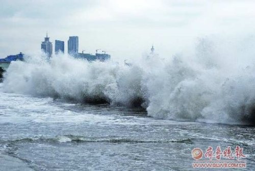 青島臺風最新動態(tài)，全方位應對措施保障城市安全