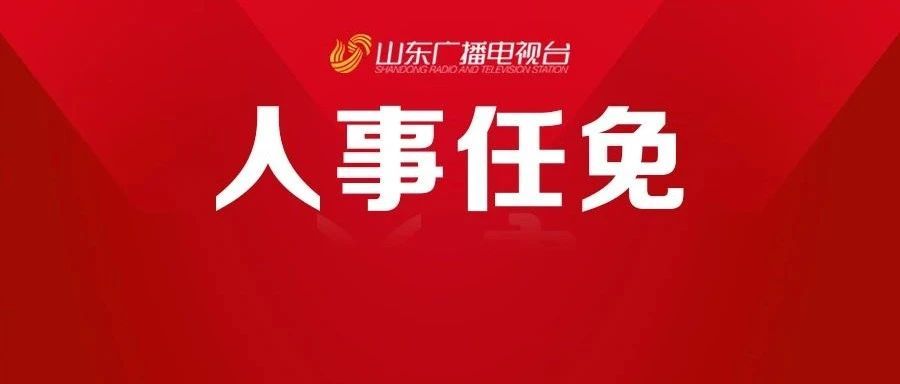 山東省最新人事任免動態(tài)概覽