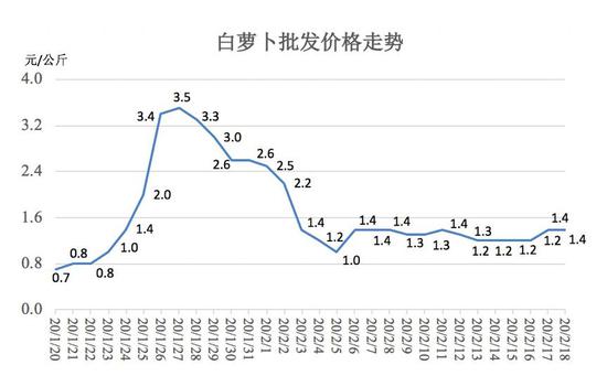 白蘿卜價格最新行情報告