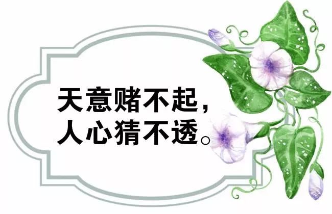 心靈雞湯新篇章，滋養(yǎng)內(nèi)心的力量