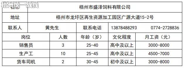 龍圩最新招聘動(dòng)態(tài)與職業(yè)機(jī)會深度探討