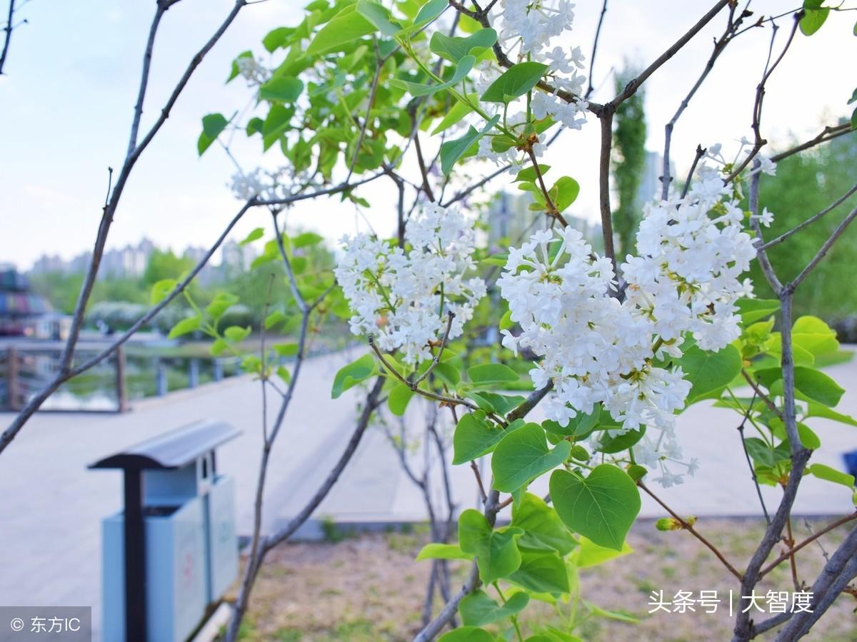 落花網(wǎng)最新動(dòng)態(tài)，引領(lǐng)未來(lái)，探索前沿趨勢(shì)