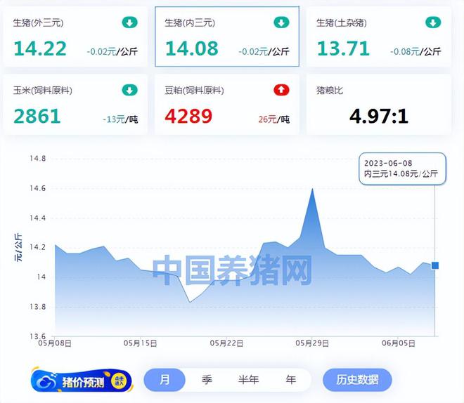 今日生豬價(jià)格走勢(shì)解析