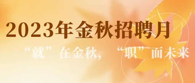 崇明最新招聘動態(tài)與職業(yè)發(fā)展機遇概覽