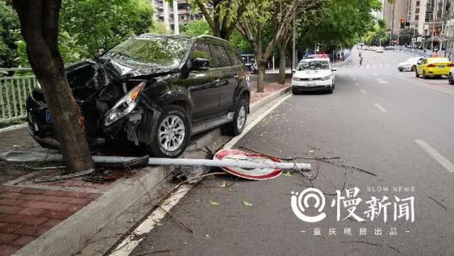 重慶車禍事件深度剖析