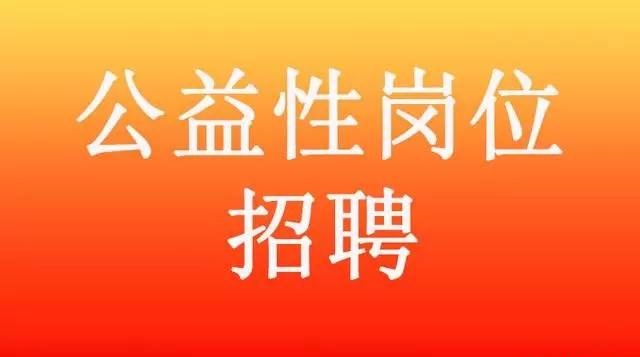 丽江最新招聘信息总览