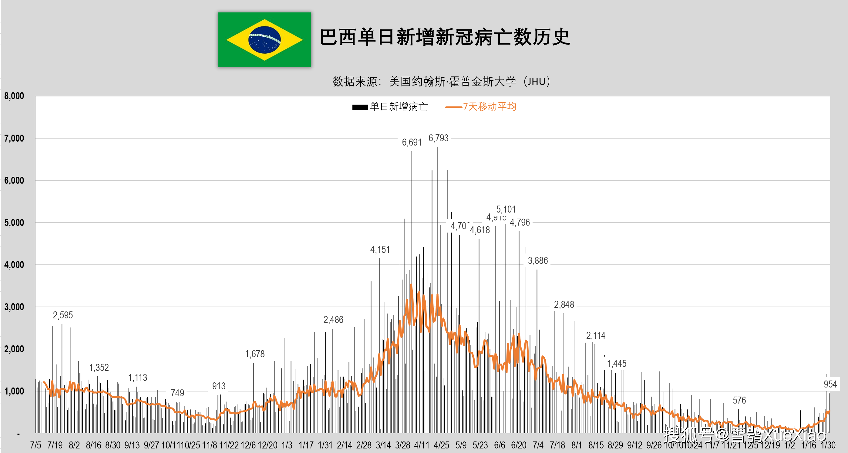 巴西疫情最新数据报告更新，疫情最新消息与数据汇总