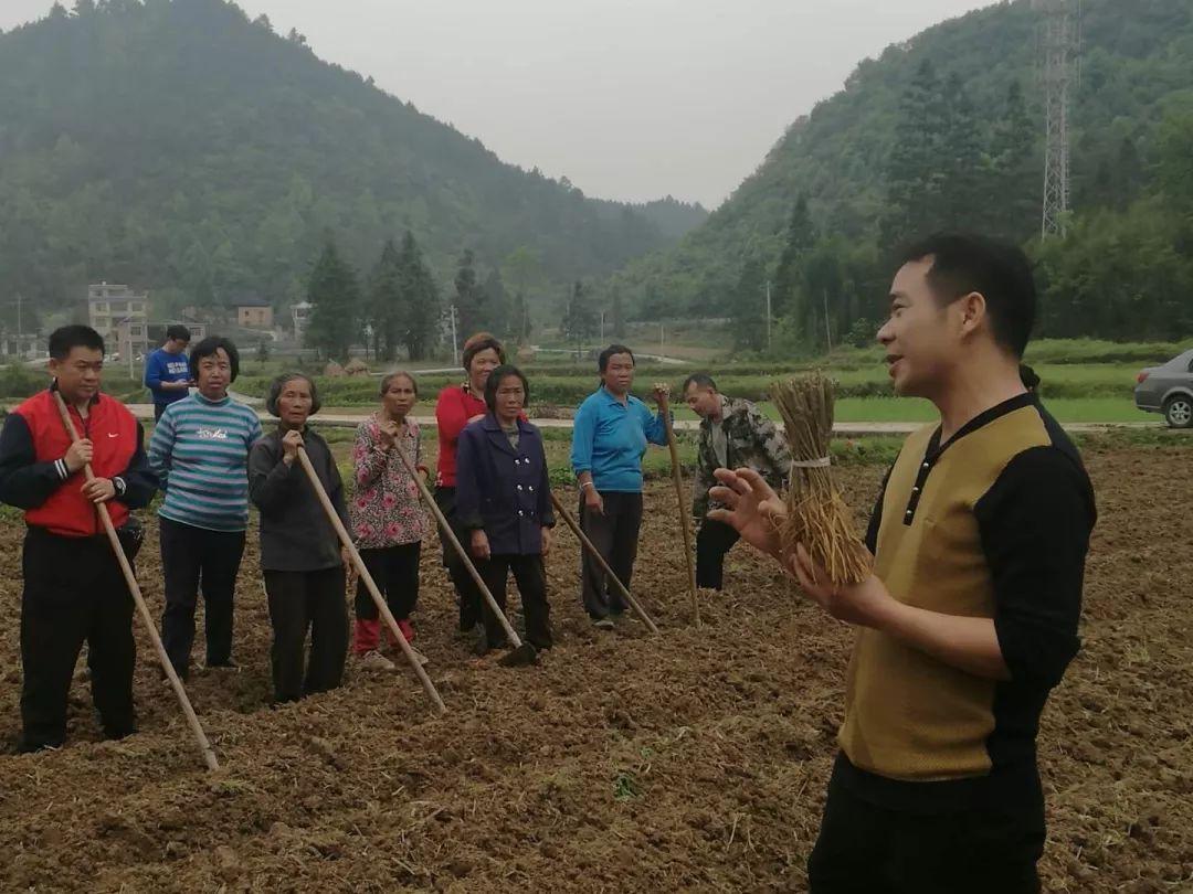 精选五星好评回复文案，塑造卓越服务的新标杆