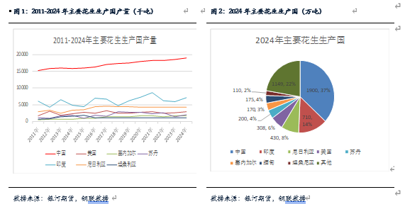 9月份花生最新价格动态及市场走势分析