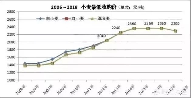 最新小麦价格行情分析与信息汇总