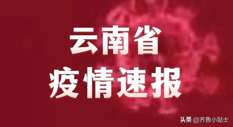 云南最新肺炎疫情概况及应对措施概览