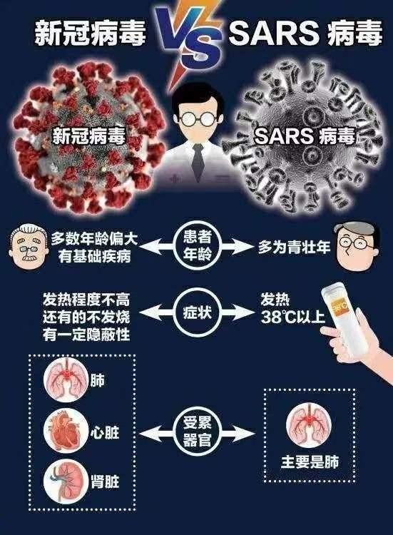 全球抗疫进展及应对策略，新型冠状病毒最新消息与新型病毒动态更新