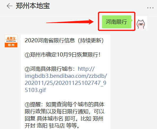 河南单双号限行最新通知，应对交通拥堵与环保的新策略