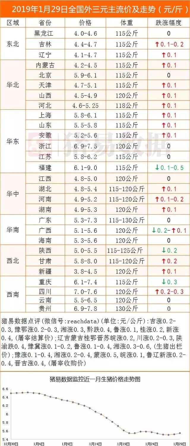 今日猪价格最新价格表及市场走势分析概览