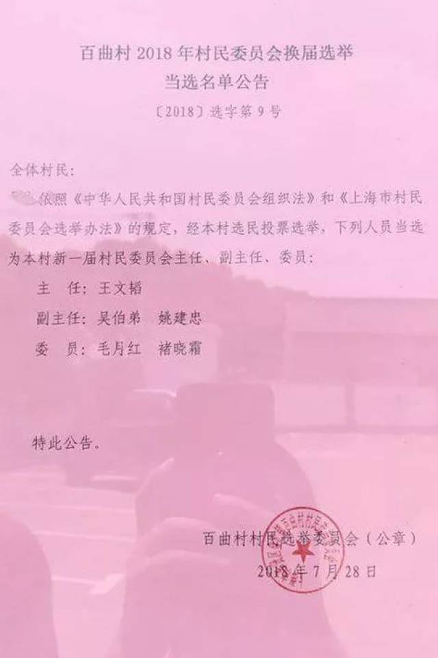 大柳树村委会最新人事任命揭晓