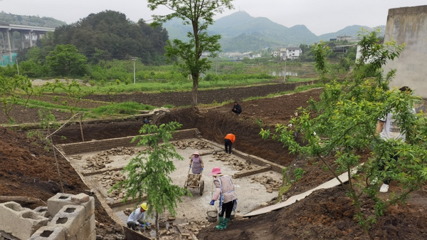 火石岩村最新项目，乡村振兴的新动力源泉