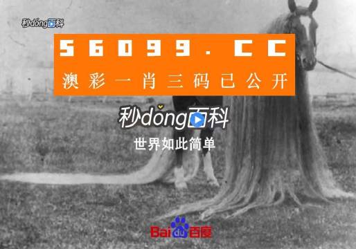 澳门必中一一肖一码服务内容,BBS应用_起源神衹TYO70.56