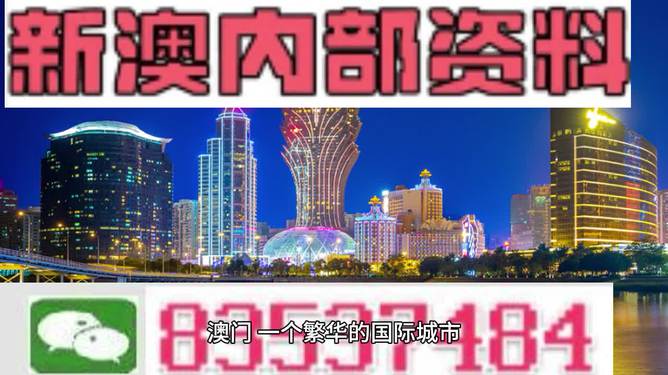 新澳门4949正版大全,数据资料解释落实_稀有版CTN108.28