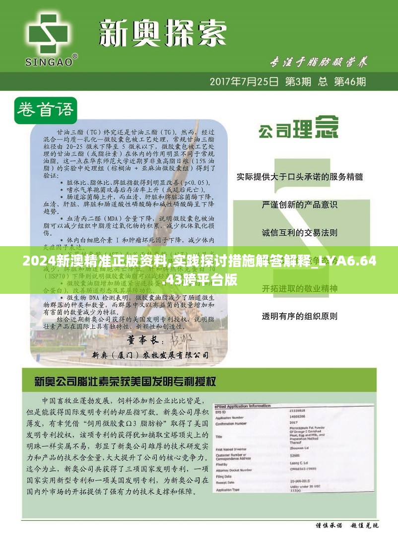 新澳2024年精准正版资料,广泛的解释落实支持计划_探索版55.996