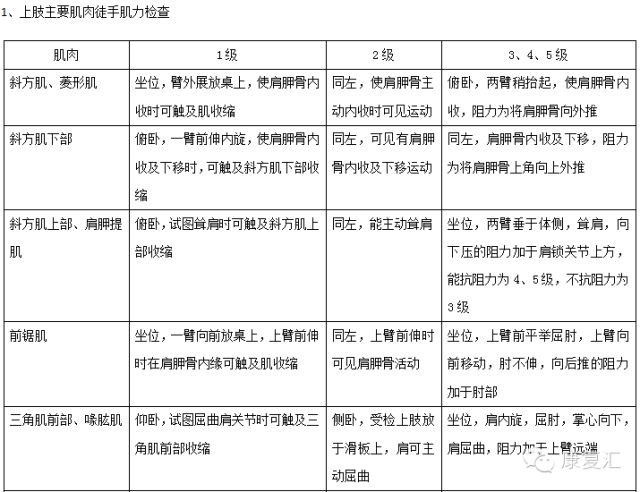 装饰材料 第195页