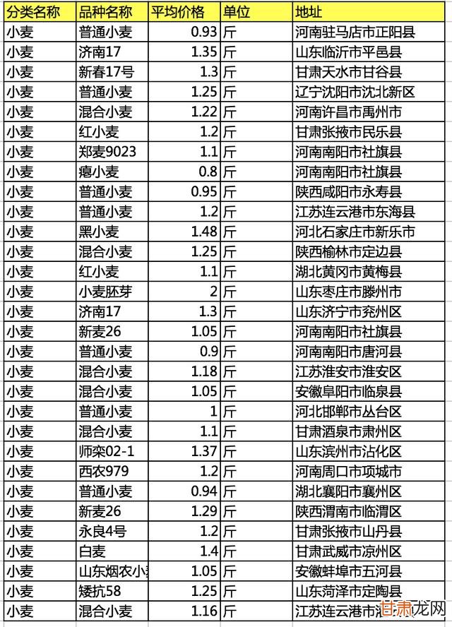 河北小麦最新价格动态解析