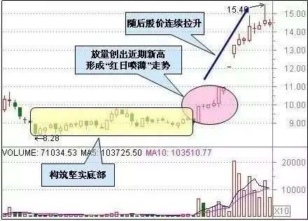 2024新澳门天天彩期期精准,理论分析解析说明_DX版40.804