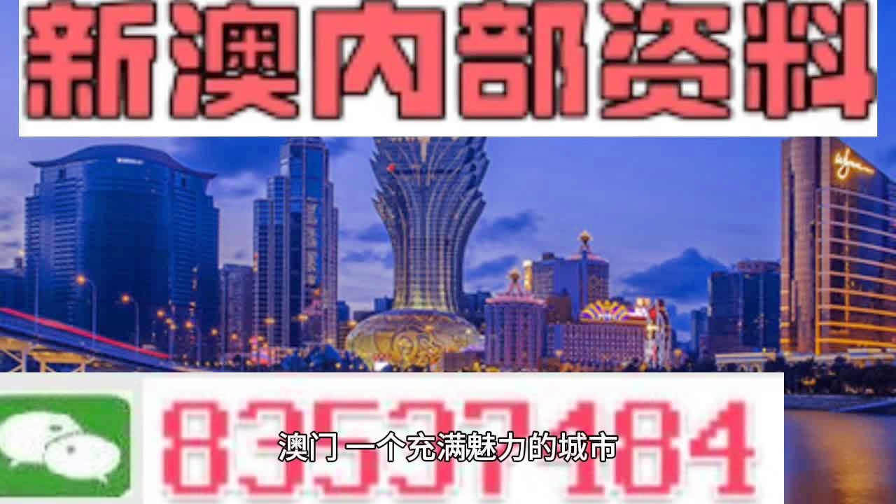 新澳门今天最新免费资料,系统研究解释定义_NE版77.452