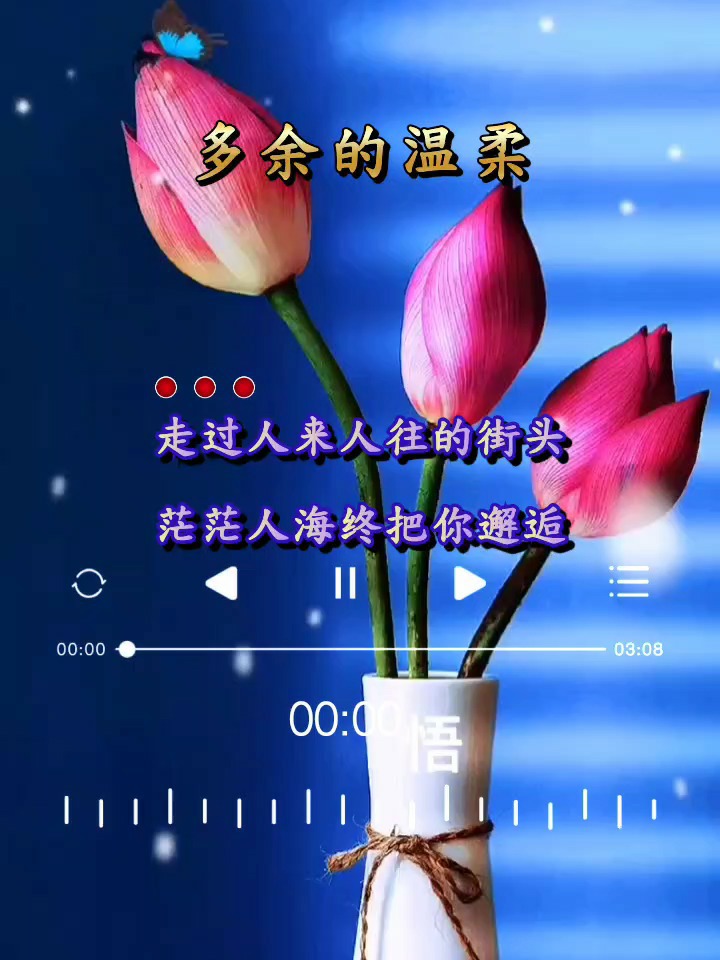 多余的温柔，歌曲触动心灵与MP3下载之旅