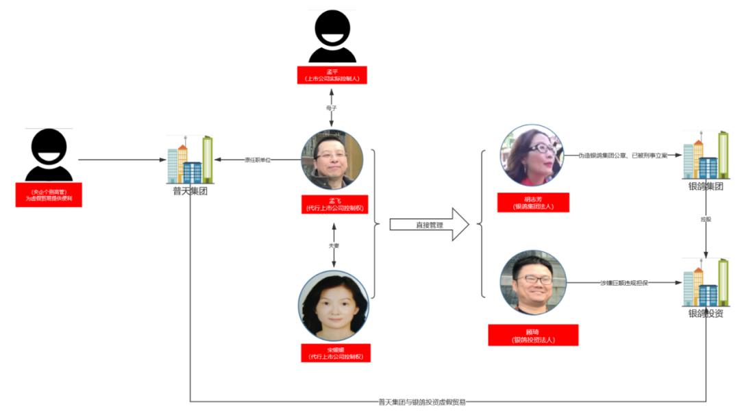 银鸽股份最新公告深度解读与剖析