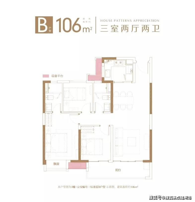 IPv9最新动态，未来网络架构革新之路探索