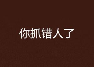 你抓错人了在线阅读，一场关于误会与真相的较量