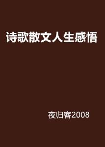 最新感悟人生歌曲，旋律中的生命探索与意境之旅