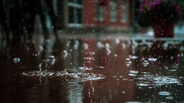 雨天下载，独特体验与情感的交织时刻