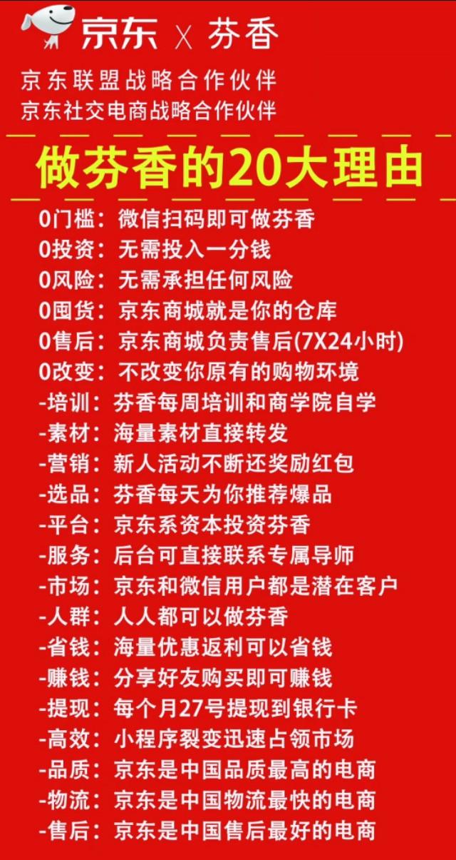 社交电商最新动态，重塑行业格局与未来趋势展望