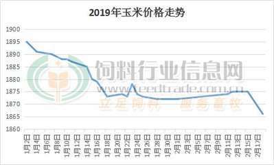 山东最新玉米价格动态分析与今日行情概述