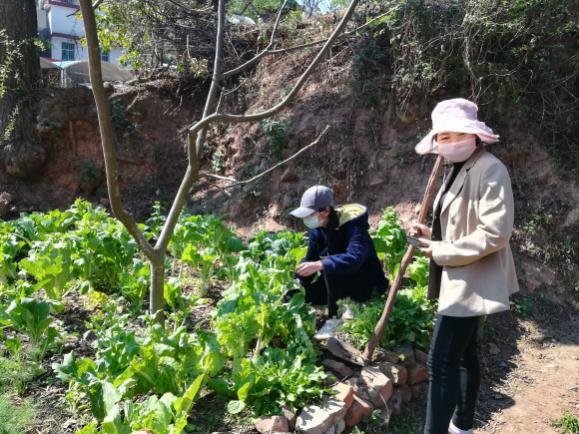 吉林教育局停课通知解读，影响分析及其背后的考量