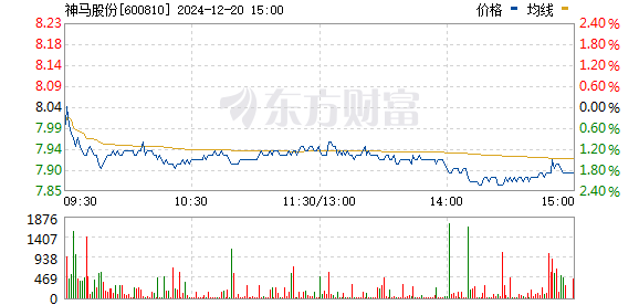 神马股份股票最新动态及深度分析与展望