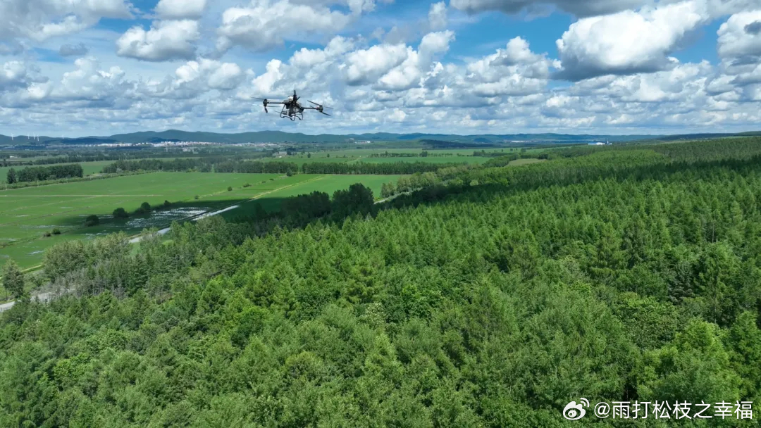 双鸭山林业局三岔河林场最新项目进展及其区域影响概述