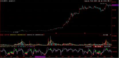 启迪古汉最新动态深度解析与发展展望