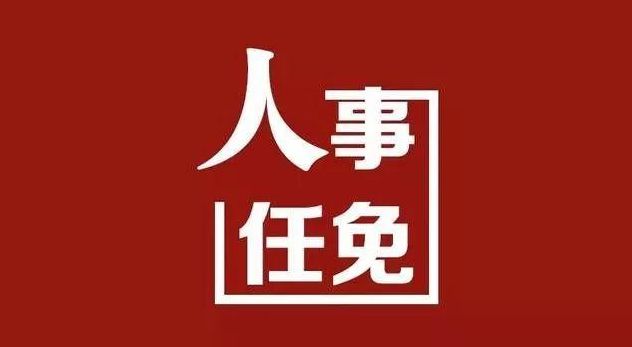 邵阳最新干部人事任免动态更新